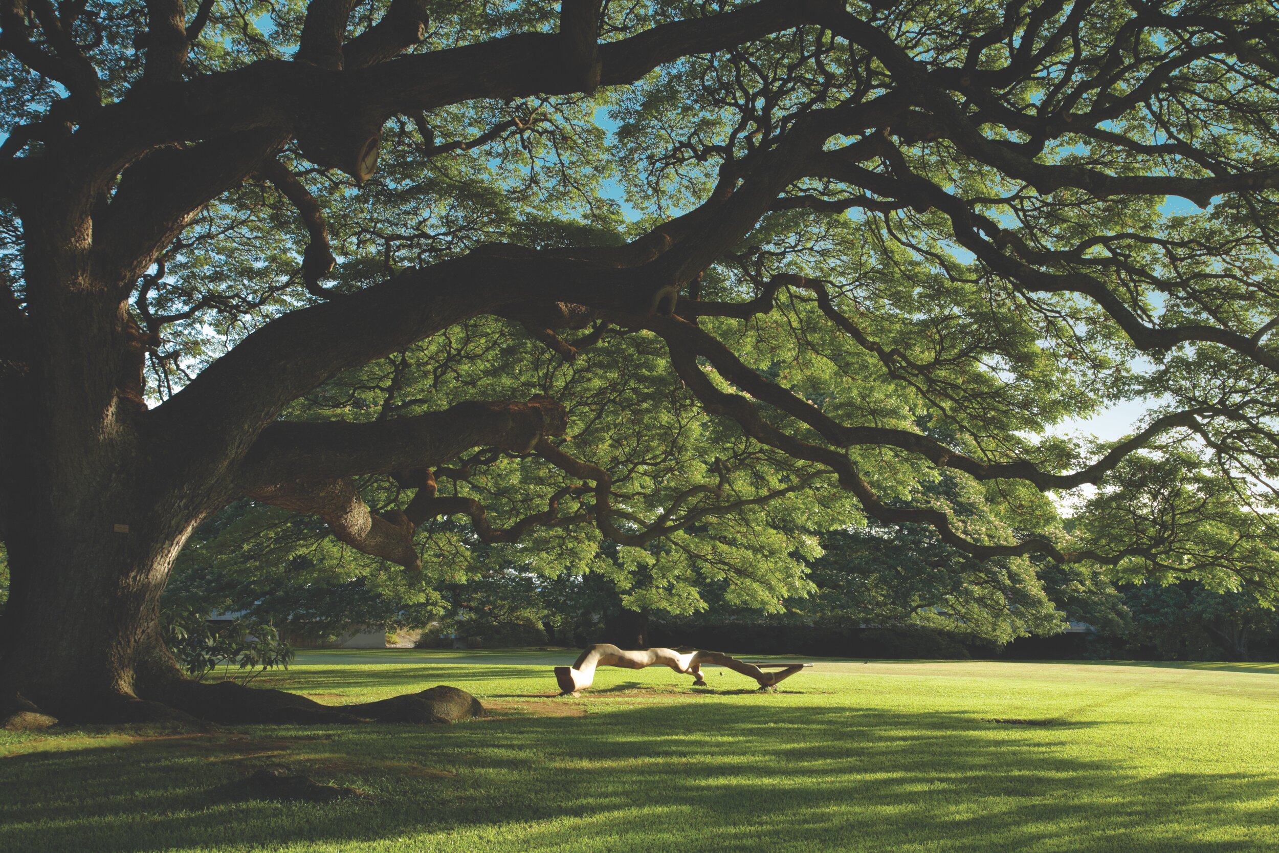 ABOUT | Visit & Celebrate Today — MOANALUA GARDENS